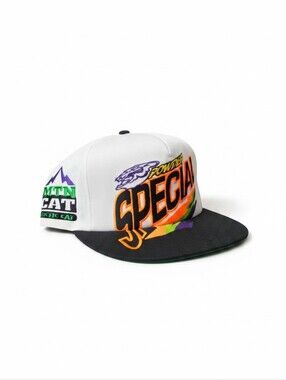 Vintage Arctic Cat Powder Special MTN Cat Snapback Hat